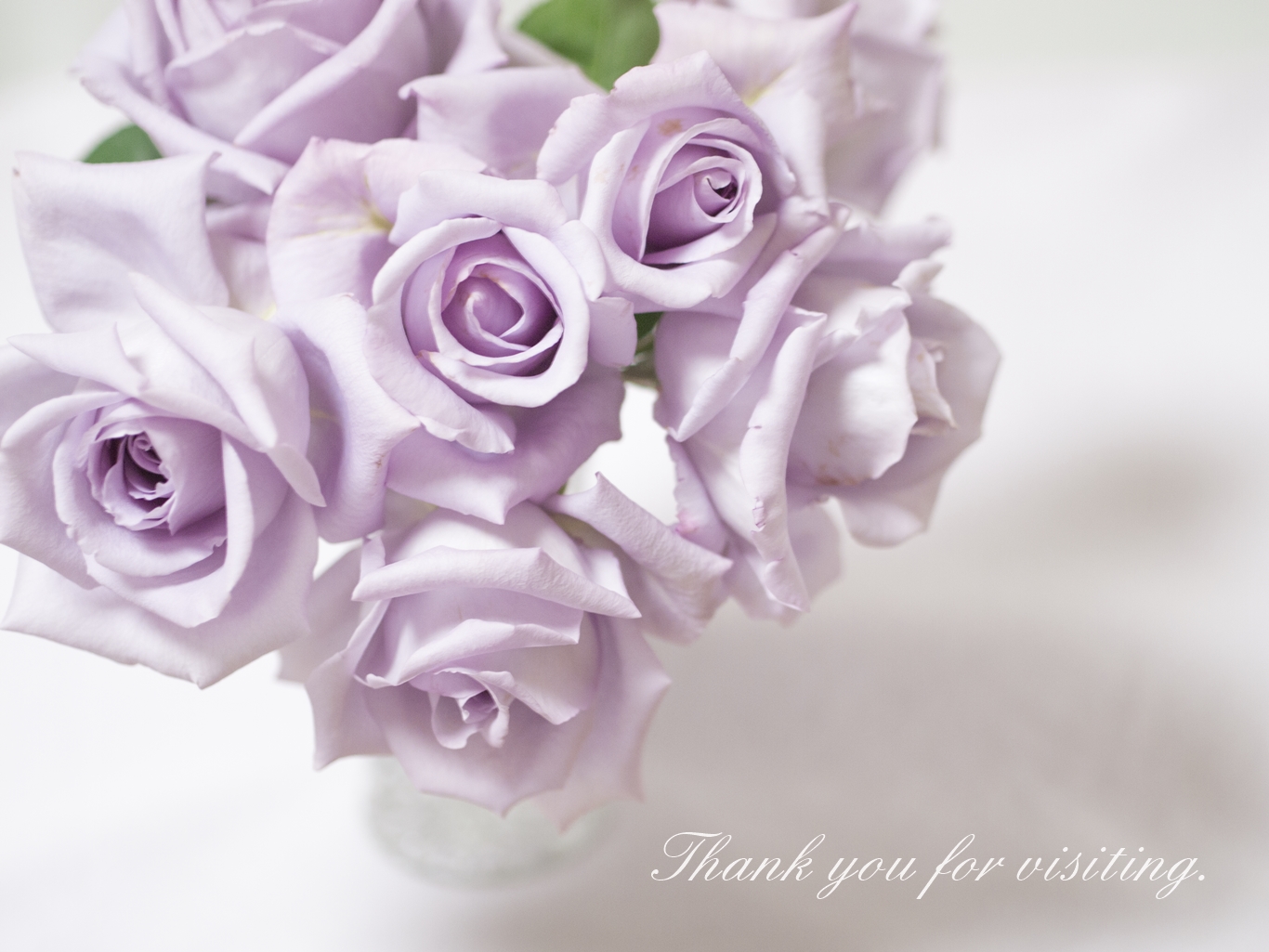 Thank you for visiting.